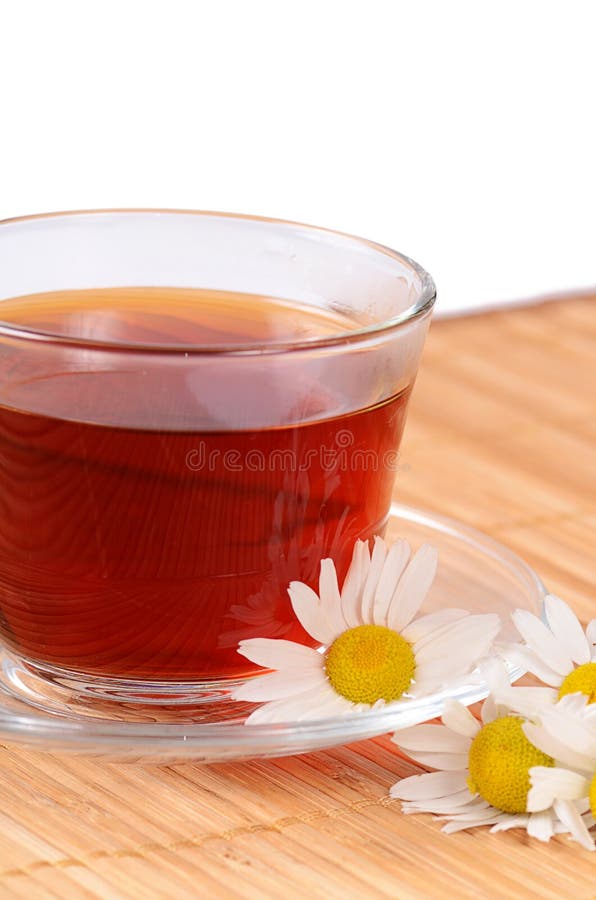 Herbal teas with chamomile stock photo. Image of alternative 47169226