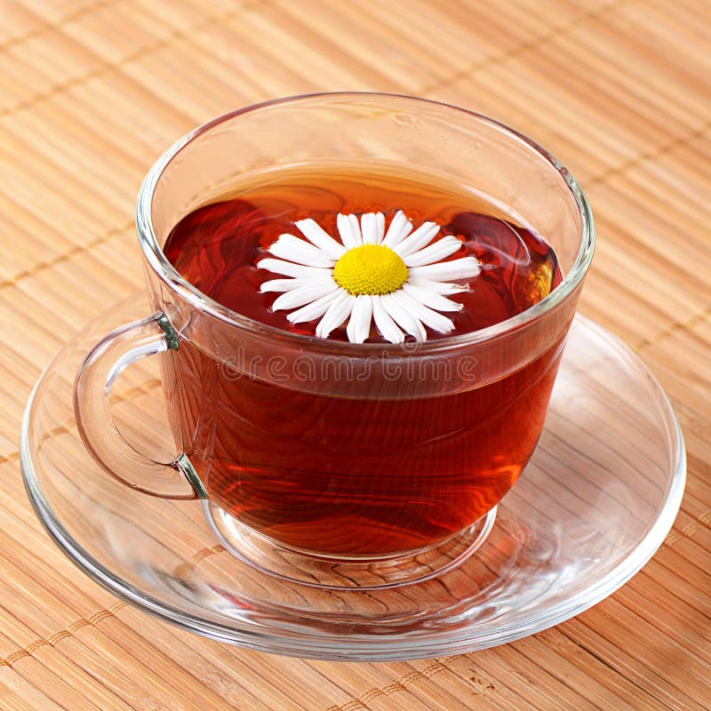 Herbal Teas in Cup with Chamomile Stock Photo Image of fresh