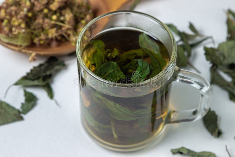 Herbal Treatment. Brewed Mint Tea Stock Image Image of herbalism