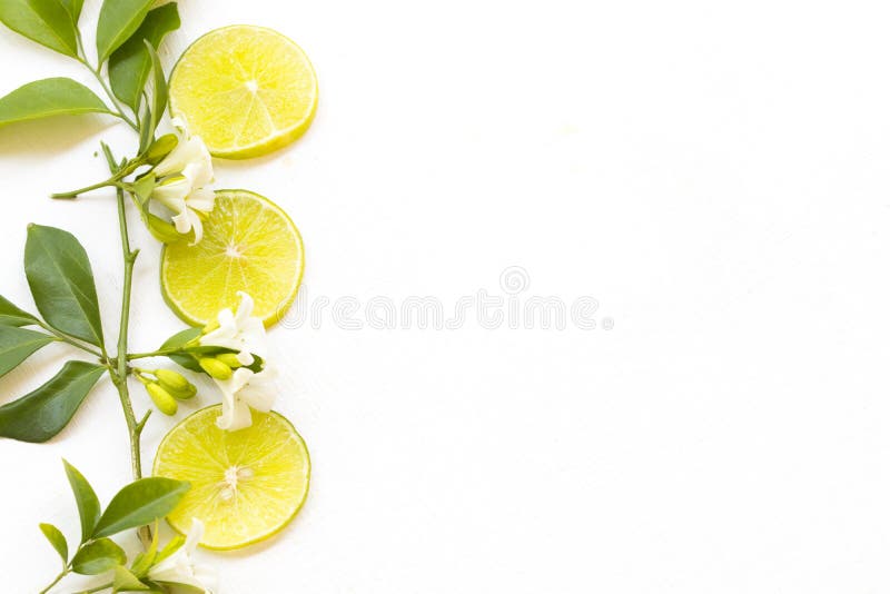 Herbal vegetables lemon slice arrangement flat lay postcard style