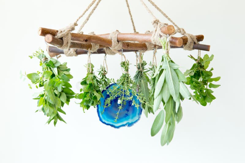 Herbal Witch - branch pentagram horizontal herb dryer with blue agate slice, and fresh herb bundles - horizontal with white copy space