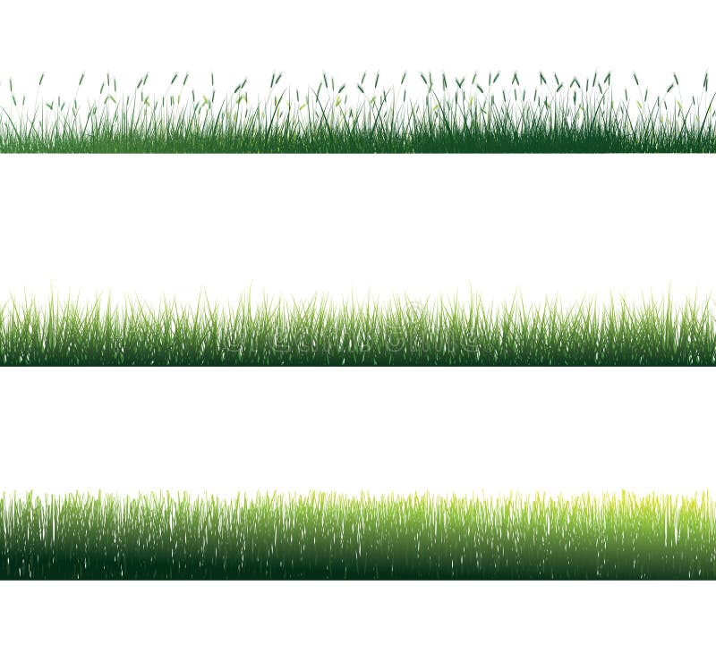 Herbe illustration de vecteur Herbe illustration de vecteur