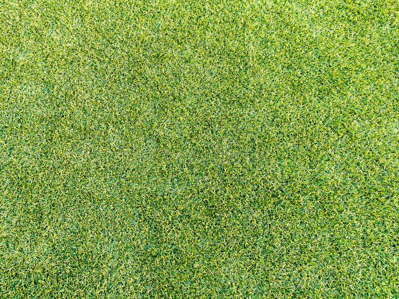 Herbe artificielle photos stock Herbe artificielle photos stock