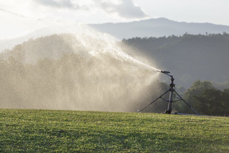 Herbe de arrosage de tête arroseuse dans la ferme photos libres de droits Herbe de arrosage de tête arroseuse dans la ferme photos libres de droits