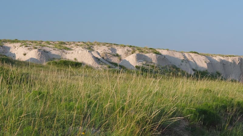 Herbe haute déplacée par une brise au fond d'arroyo