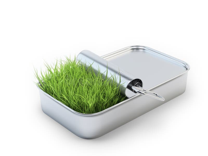 Grass growing out of an open tin can. Grass growing out of an open tin can