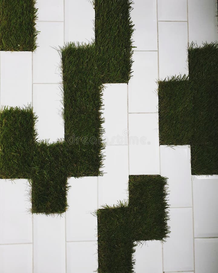 Herbe s'élevant hors du mur images libres de droits Herbe s'élevant hors du mur images libres de droits