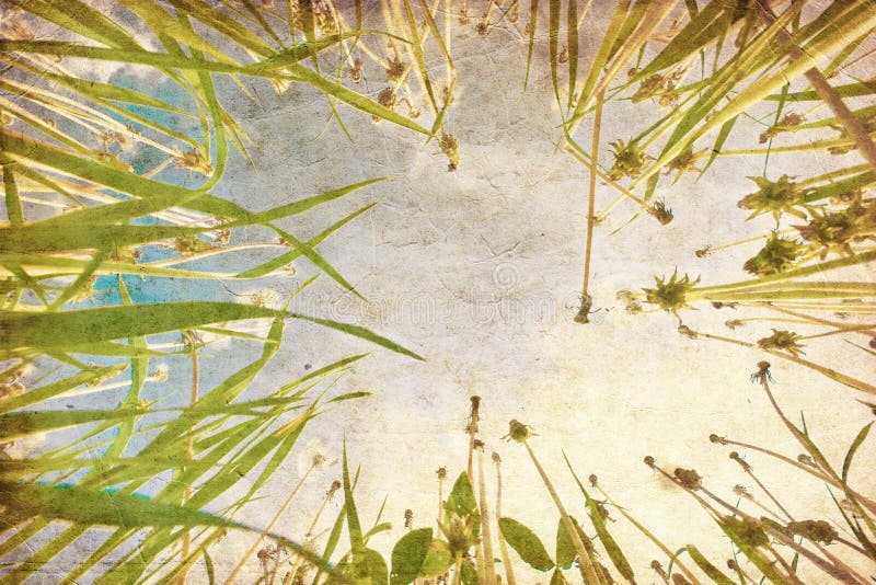 Herbe verte sous le ciel bleu dans le type grunge image stock Herbe verte sous le ciel bleu dans le type grunge image stock