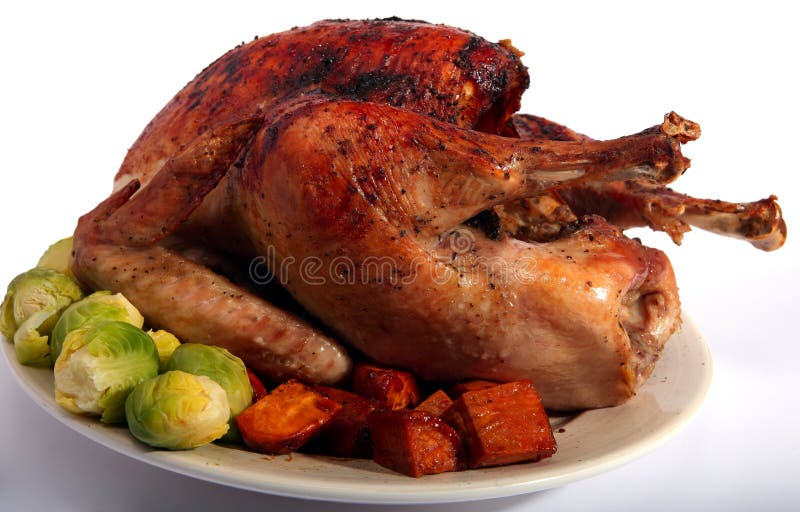 Roast turkey on herb bed stock image. Image of poultry 16137709