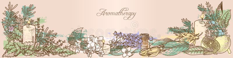 Herbes d'Aromatherapy illustration libre de droits Herbes d'Aromatherapy illustration libre de droits