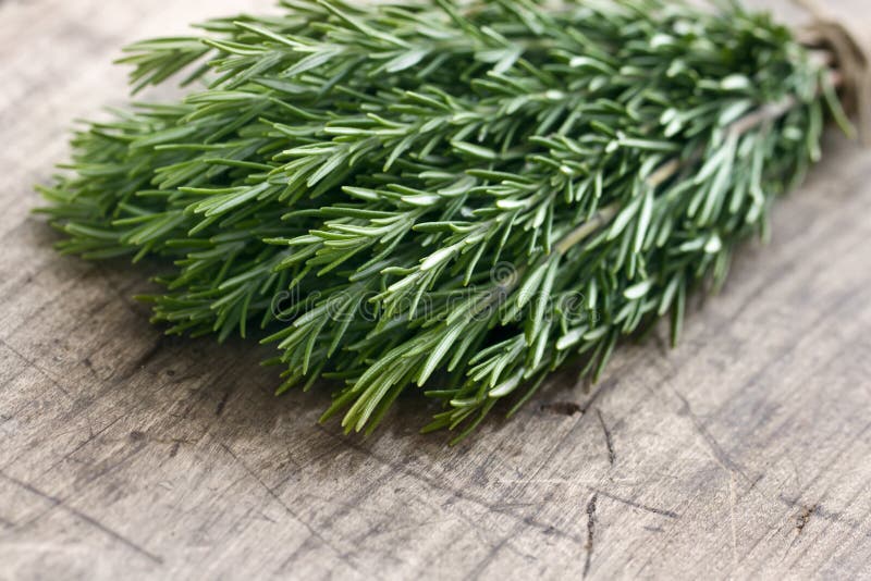 Herbes de romarin frais et vert image stock