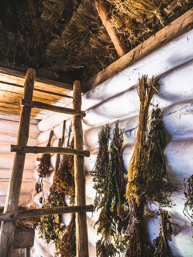 Herbes séchant dans une vieille maison photos stock Herbes séchant dans une vieille maison photos stock