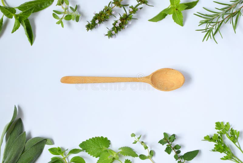 Herbes épicées et médicinales fraîches sur le fond blanc et la cuillère en bois Frontière de diverse herbe - romarin, origan, sau photos libres de droits