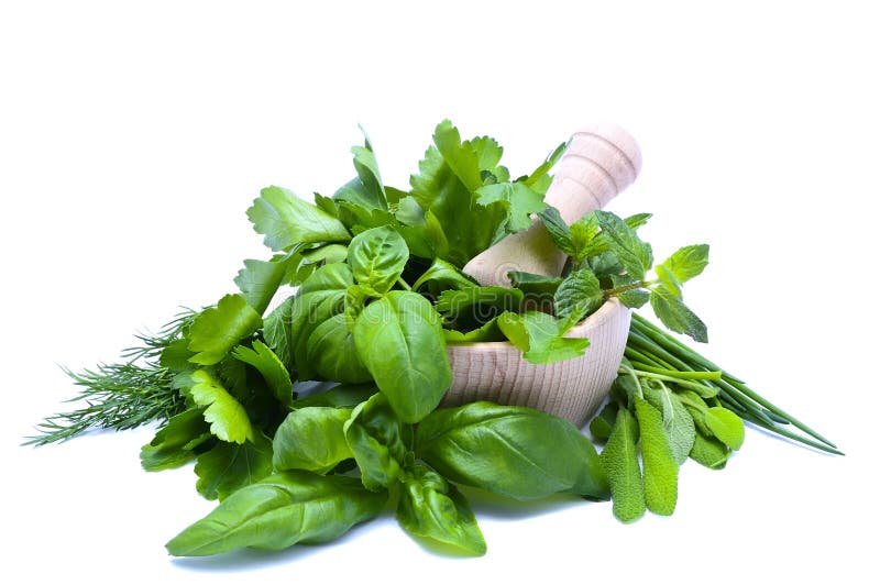 Herbs stock image. Image of food, healthy, leaves, fresh 18383743