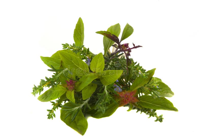 Herbs stock image. Image of floral, mortar, healing, herbal 3553141