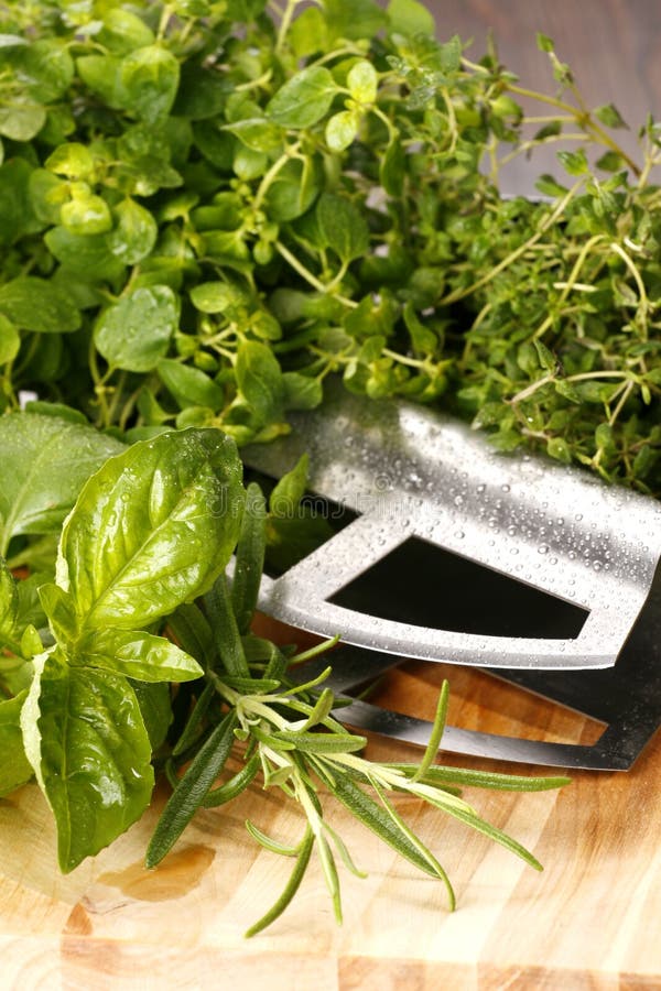 Herbs Free Stock Photos & Pictures, Herbs RoyaltyFree and Public