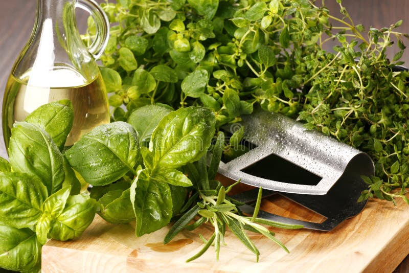 Herbs stock photo. Image of basil, salad, preparing, herbs 4868996