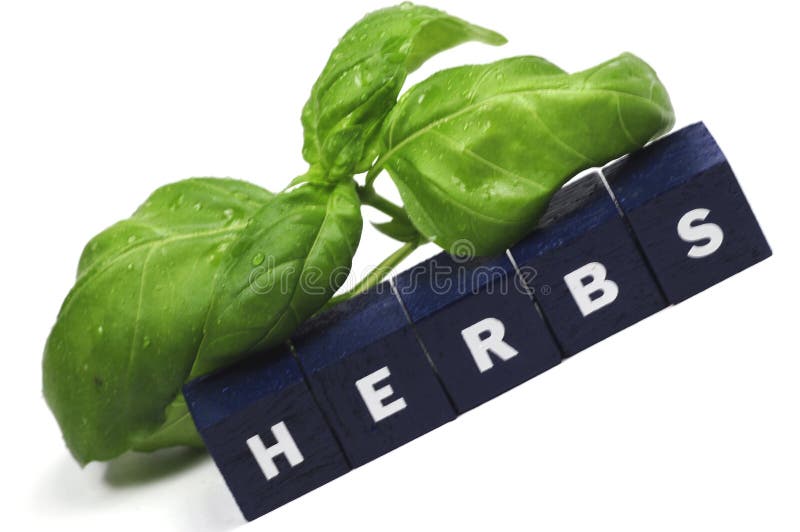 1,245 Word Herbs Stock Photos Free & RoyaltyFree Stock Photos from