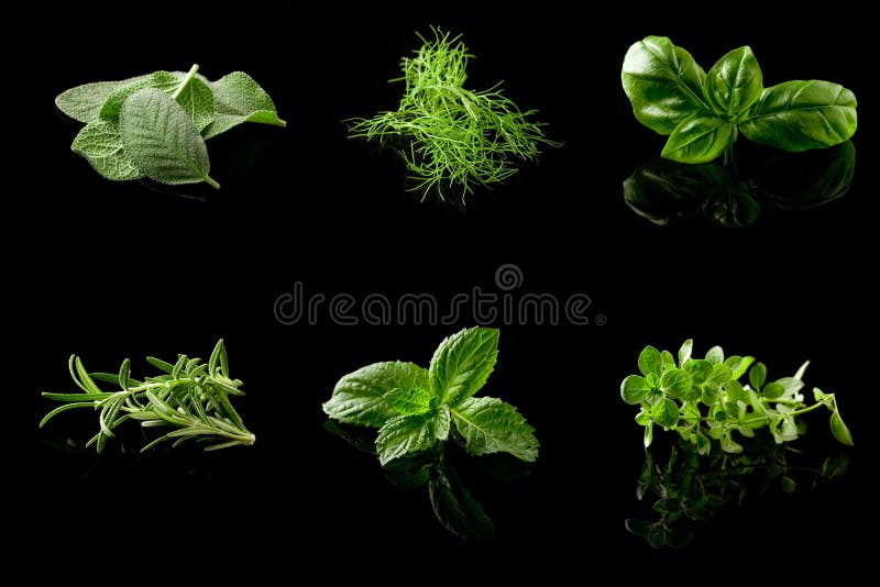 Herbs Collage on black background