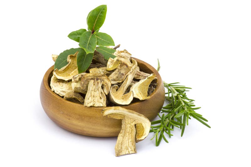 Herbs and Dried Mushrooms Boletus Stock Photo Image of eatable