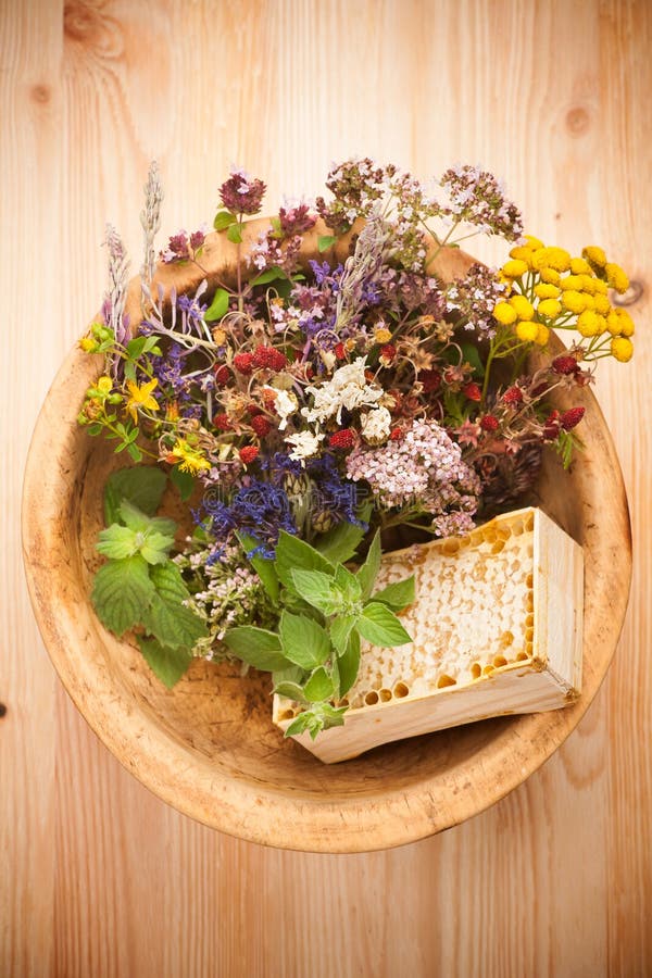 Herbs and Flowers for Herbal Tea Stock Photo Image of
