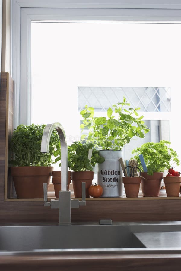 Herbs in pots stock image. Image of sunlight, cultivated 34148013