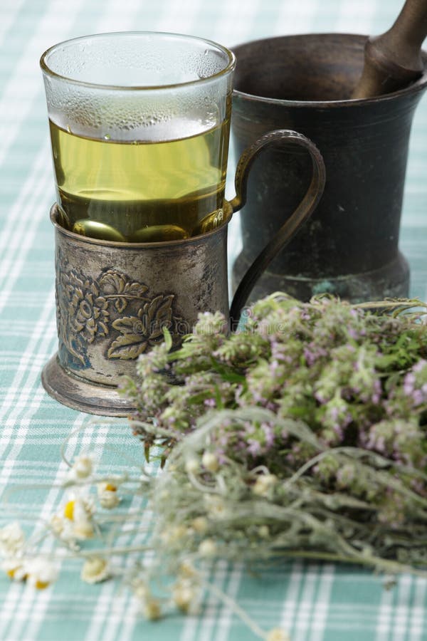 Herbs and herbal tea stock photo. Image of herb, tablecloth - 10190672