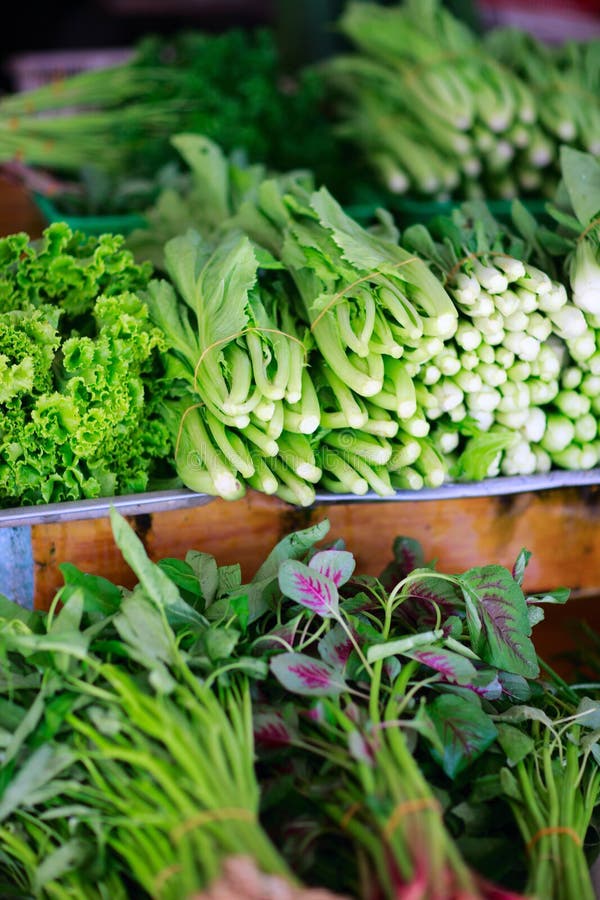 Different Herbs at Market Stall Stock Photo Image of organic, leaf