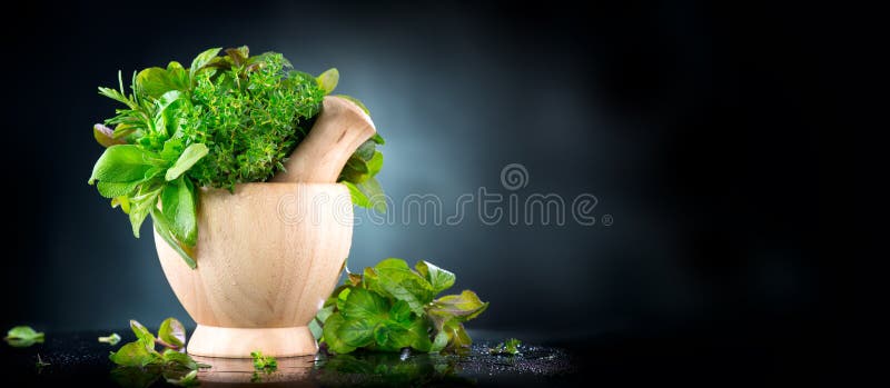 herbs O grupo da erva aromática orgânica verde fresca sae no almofariz de madeira com o pilão sobre o fundo preto foto de stock royalty free herbs O grupo da erva aromática orgânica verde fresca sae no almofariz de madeira com o pilão sobre o fundo preto foto de stock royalty free