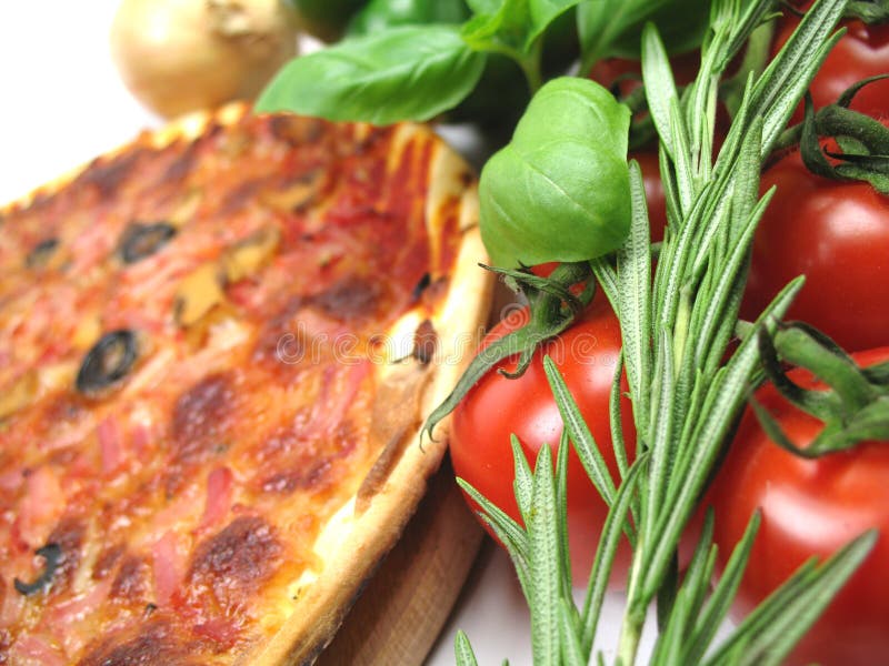 Herbs and pizza stock photo. Image of herbs, twig, dough 6067244