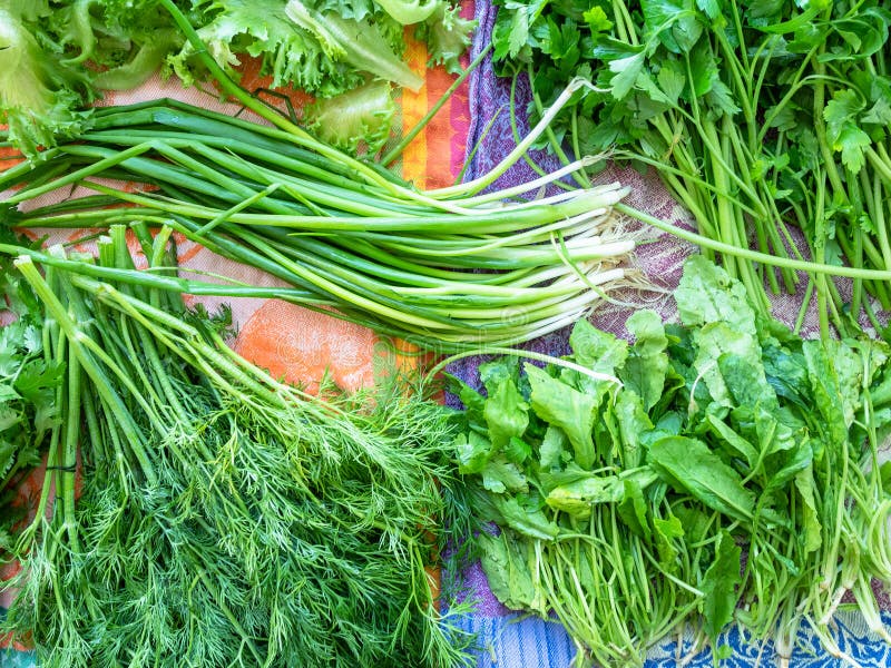 Herbs prepared for cooking are drying on cloth stock photo