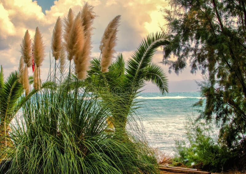 Herbs and Sea stock photo. Image of idyllic, coast, beautiful 51066612