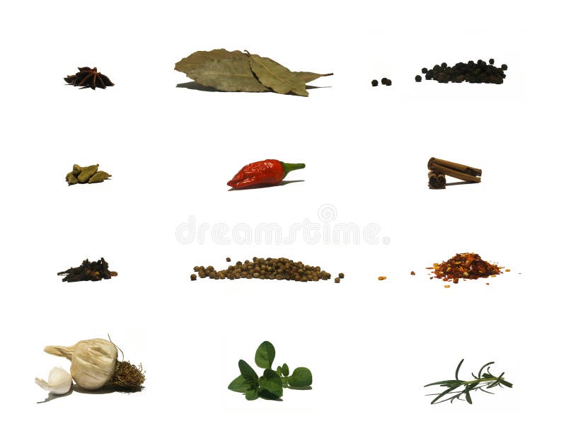 Herbs And Spices Chart stock image. Image of chart, dried 9213303