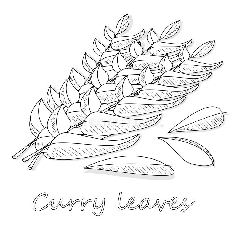 Curry Stock Illustrations 3,611 Curry Stock Illustrations, Vectors