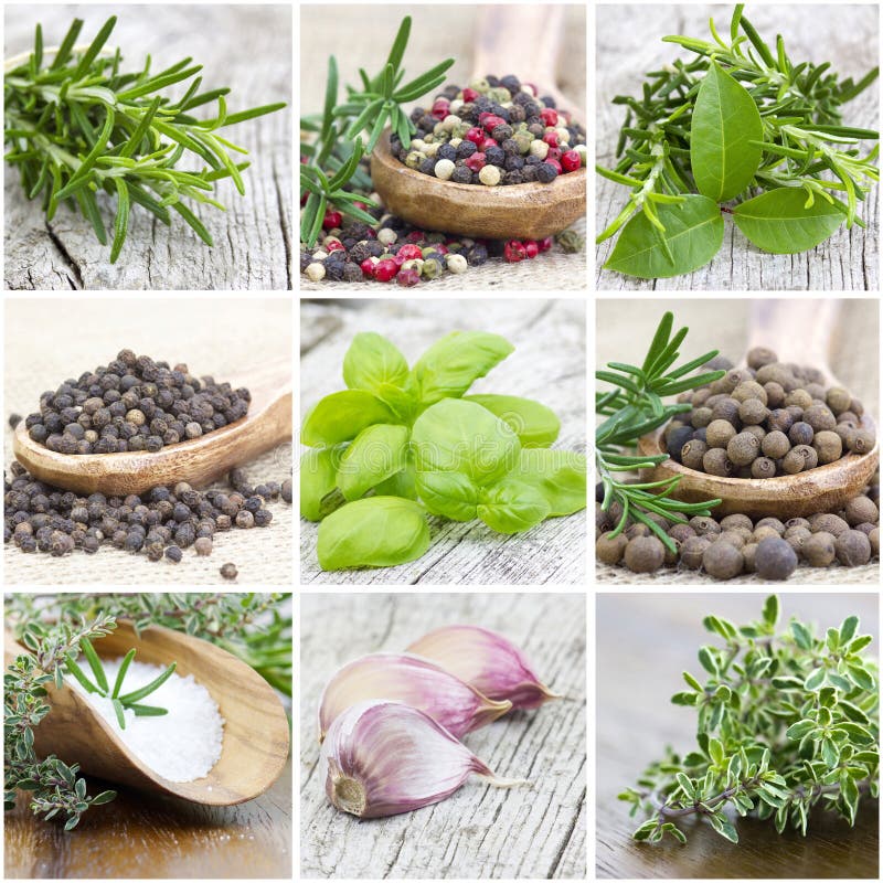 Herbs and spices stock image. Image of cooking, allspice 30451493