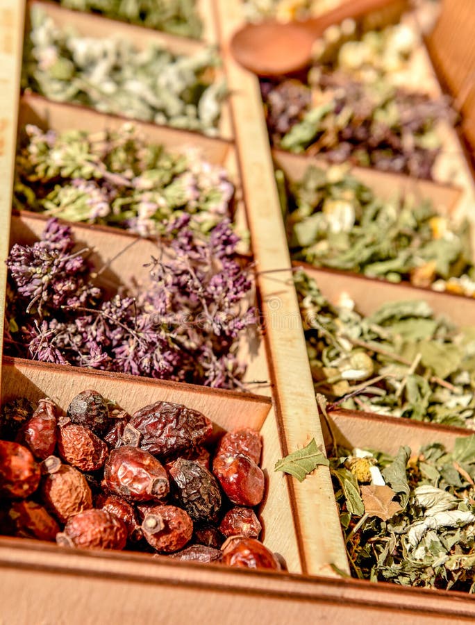 Herbs For Tea . Herbs And Tea Collection . Stock Image Image of