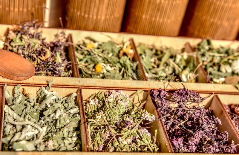 Herbs for Tea . Herbs and Tea Collection . Stock Photo Image of