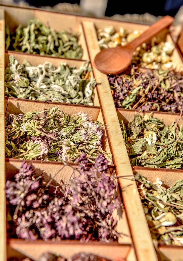 Herbs for Tea . Herbs and Tea Collection . Stock Image Image of