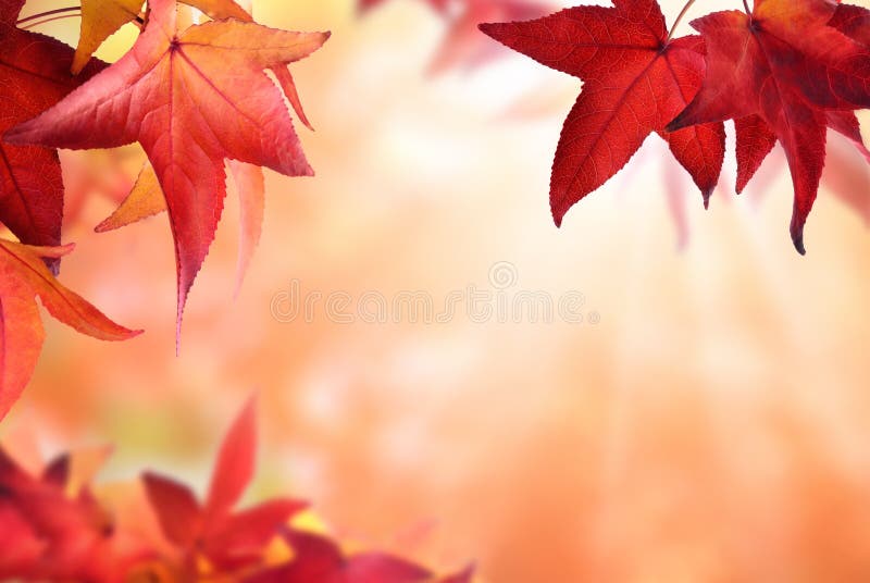 Herbst bokeh Hintergrund mit roten Blättern stockfoto Herbst bokeh Hintergrund mit roten Blättern stockfoto