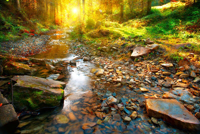 Herbst Gebirgsfrühling, Waldlandschaft stockfotografie Herbst Gebirgsfrühling, Waldlandschaft stockfotografie