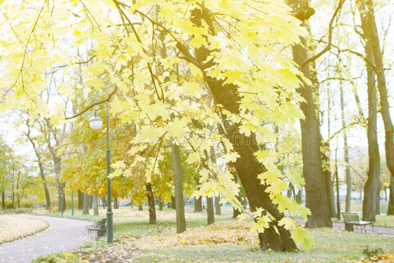 Herbst im Park und auf den Straßen lizenzfreie stockfotos Herbst im Park und auf den Straßen lizenzfreie stockfotos