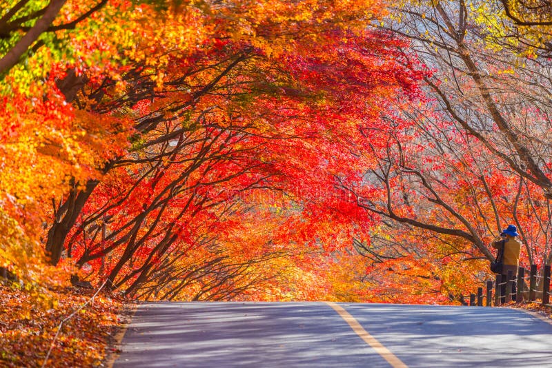 Herbst Nationalparks Naejangsan, Südkorea stockbilder Herbst Nationalparks Naejangsan, Südkorea stockbilder
