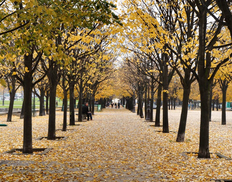 Herbst in Paris stockfotografie Herbst in Paris stockfotografie