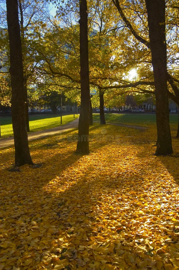 Herbst-Park stockbilder Herbst-Park stockbilder