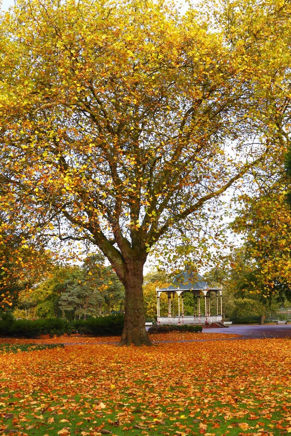 Herbst-Park und Band-Standplatz lizenzfreie stockbilder Herbst-Park und Band-Standplatz lizenzfreie stockbilder