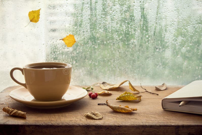 Herbst Tasse Tee und Anmerkungsbuch lizenzfreie stockbilder