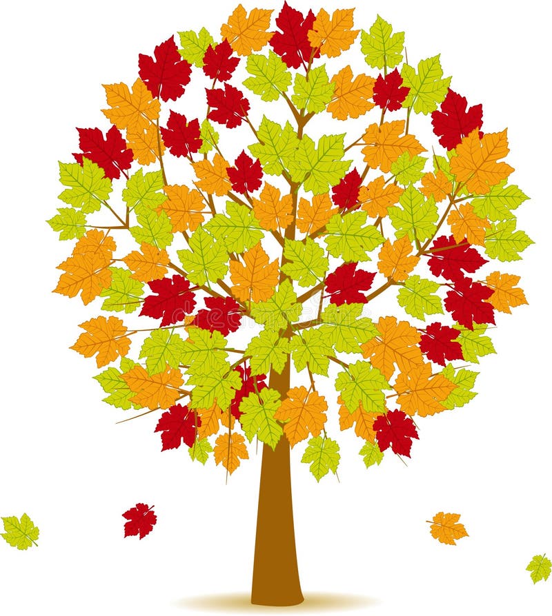 Herbstbaum 14 lizenzfreie abbildung Herbstbaum 14 lizenzfreie abbildung