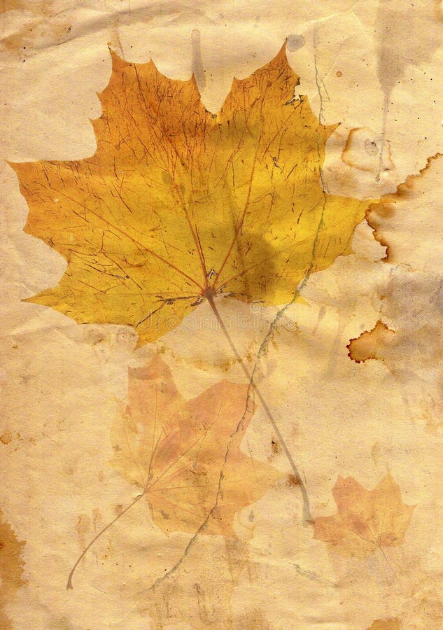 Herbstblatt in der grunge Art lizenzfreie abbildung Herbstblatt in der grunge Art lizenzfreie abbildung