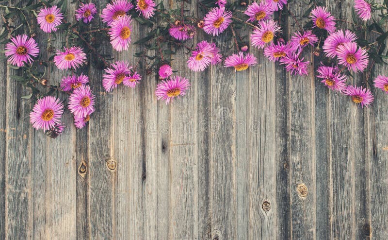Herbstchrysantheme auf rustikalem hölzernem Hintergrund Retro- angeredetes f stockbilder Herbstchrysantheme auf rustikalem hölzernem Hintergrund Retro- angeredetes f stockbilder