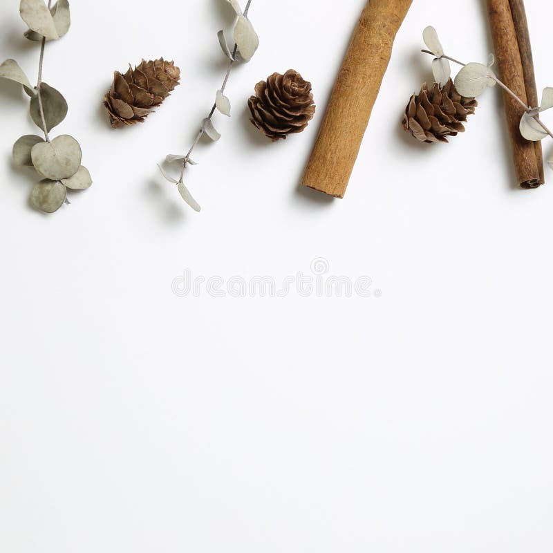 Herbstdekoration Trockener Kiefernzapfen, Blätter, Zimt auf weißem Grund stockfotografie Herbstdekoration Trockener Kiefernzapfen, Blätter, Zimt auf weißem Grund stockfotografie